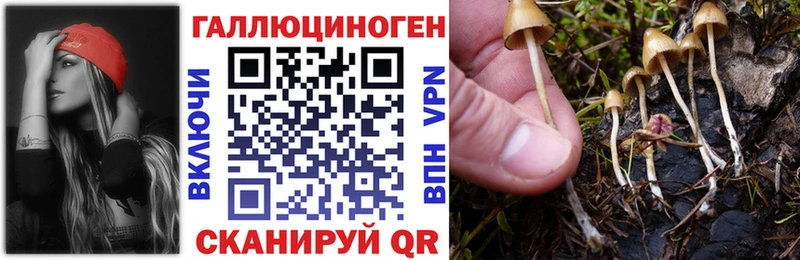 Купить закладки  Коркино  Псилоцибиновые грибы мухоморы 